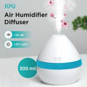 Air Humidifier Mini 300ml